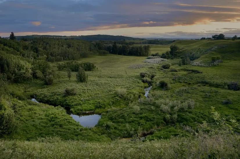 Hudson in Pinecreek SE